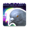 鸽宇宙Hatoverse元宇宙游戏 1.8.0 安卓版