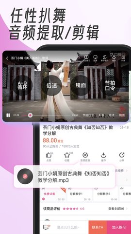 中舞网app
