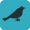 乌鸦极速清理app 1.0.0 安卓版