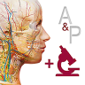 解剖和生理学app 6.2.00 安卓版