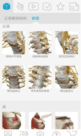 肌肉和骨骼app