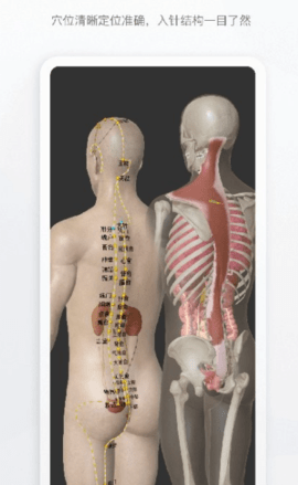 人体解剖学图谱APP免费版