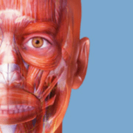 人体解剖学图谱APP免费版 2023.04.011 安卓版