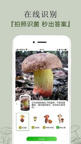 菌窝子app