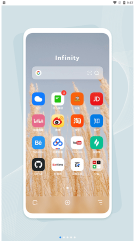 Infinity浏览器手机版