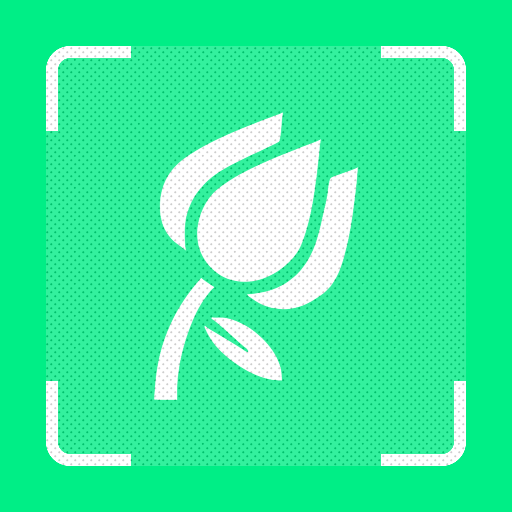 一起认植物APP 1.1 安卓版