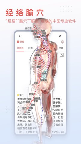 3dbody解剖学app
