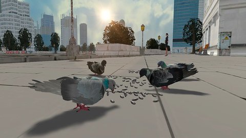 鸽子生存模拟游戏