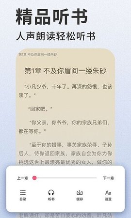 掌民小说app