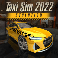 出租车驾驶模拟2020中文最新版 1.3 安卓版