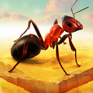 蚂蚁进化模拟器游戏 1.0 安卓版