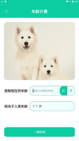 人狗翻译app