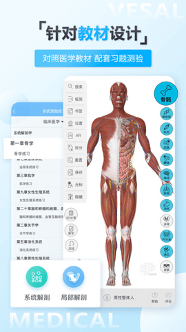 维萨里3D解剖app手机版