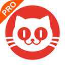 猫眼专业版APP官方下载 6.18.1 安卓版