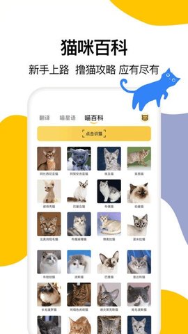 猫语翻译工具免费版