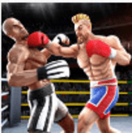 拳击明星冠军3D游戏下载 6.3 安卓版