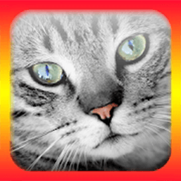 猫语翻译模拟器软件 1.2 安卓版