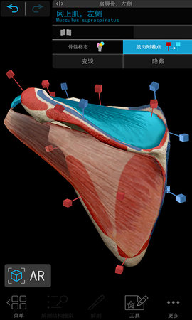 人体解剖3d教学软件免费下载安装手机版