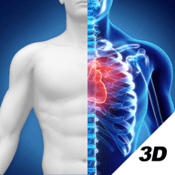 3d人体解剖图谱下载安装免费