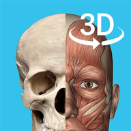 3d人体解剖学三维图谱软件免费下载安装