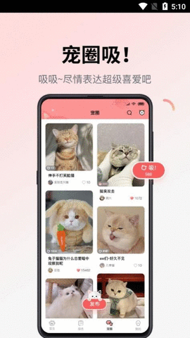 多仔宠物APP