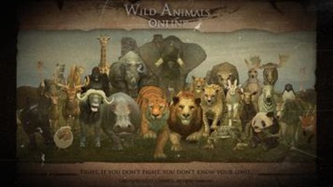 wild animals online正版