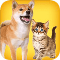 人狗猫交流器app 2.6 安卓版