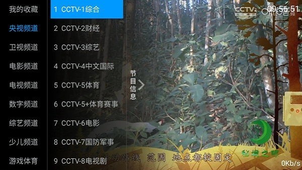 麦看直播电视版