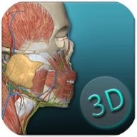 人体解剖学图集软件下载手机版