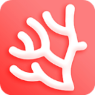 珊瑚文学网APP 2.0.0 安卓版