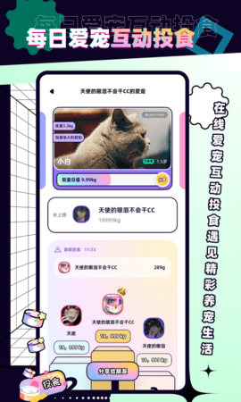 petpet陪陪app