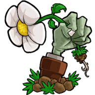 植物大战僵尸NG版最新版 1.0.5 安卓版