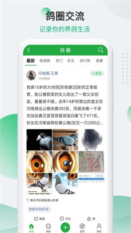 中国信鸽信息网app