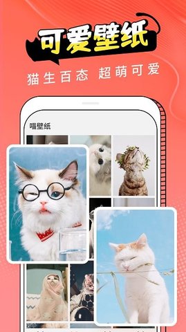 pet猫翻译app