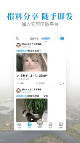 安居融媒体app