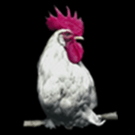 鸡盒APP 1.5.0 安卓版