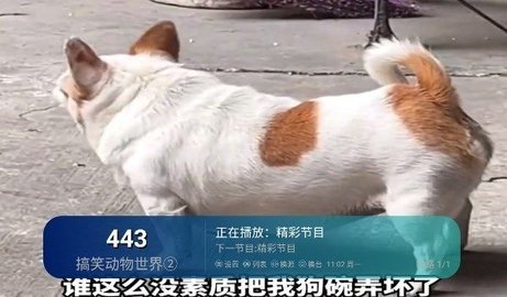 芸汐影视TV下载