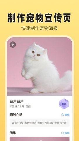猫老板app