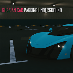 俄罗斯停车场游戏 1.0 安卓版