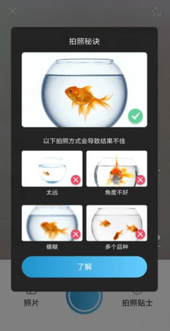 拍照识鱼app