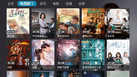 TVbox共存版App