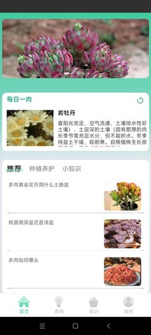 掌中百科App