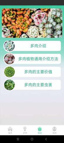 掌中百科App