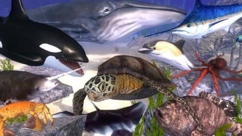 海洋动物模拟器手游