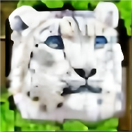Leopard Sim最新版