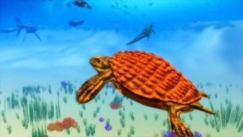 古海龟模拟器2023
