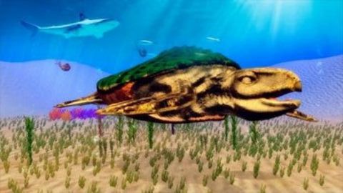 古海龟模拟器手游