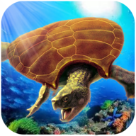 古海龟模拟器手游 1.0.3 安卓版