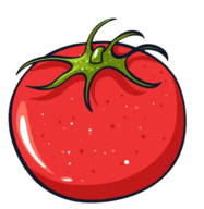 新番茄电视App