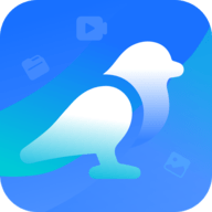 白鸟清理 1.0.0 安卓版